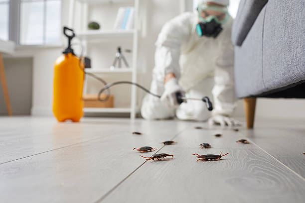 Post-Treatment Bed Bug Interceptor Monitoring in Dodge City