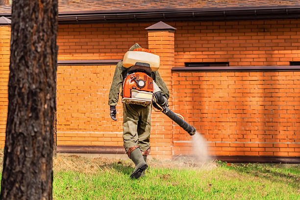 Bed Bug Clearance Verification and Documentation in Dodge City